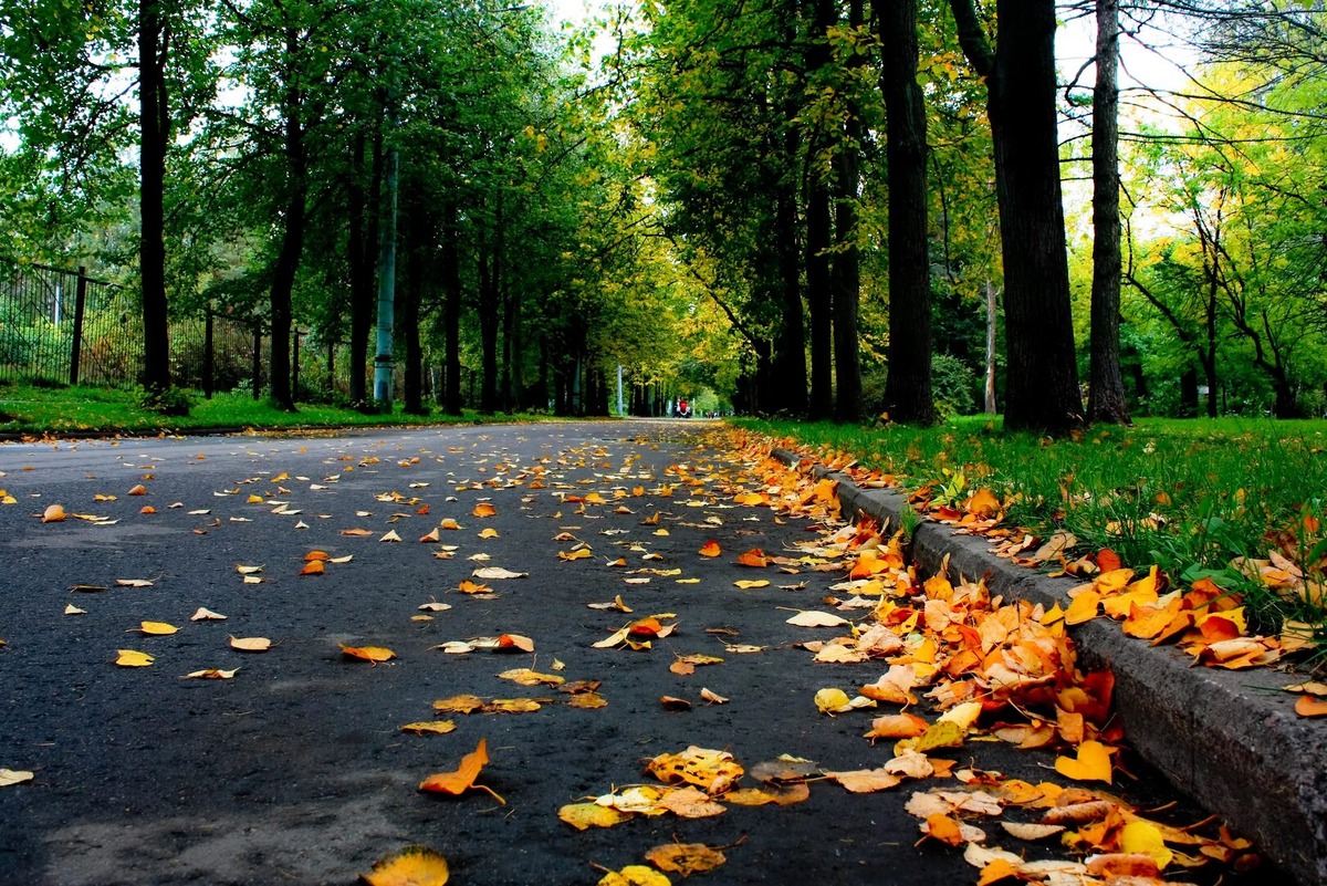 Всем мира, любви и добра!!! ✌️ ♥️💗♥️🌹💋