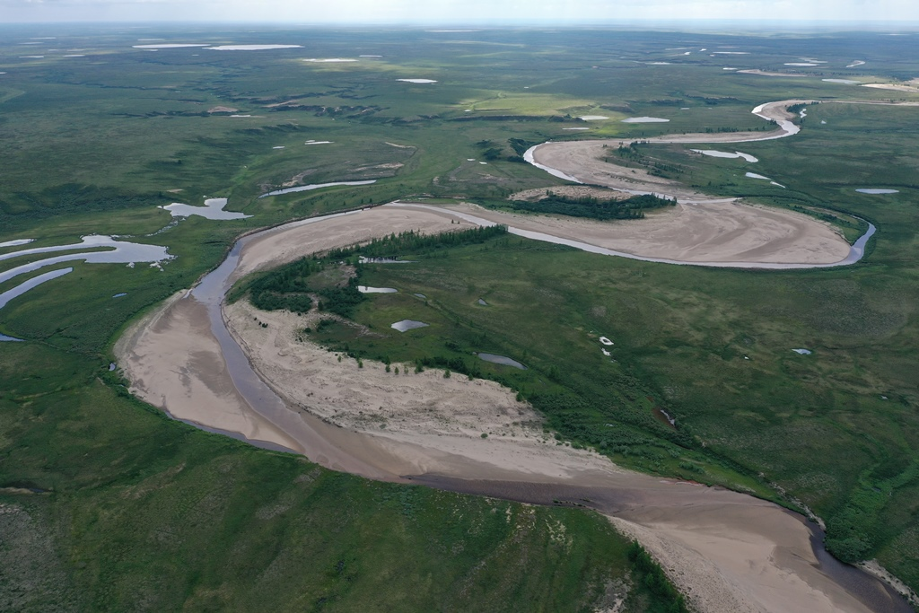 Фото:  из архива лаборатории БиоГеоКлим ТГУ