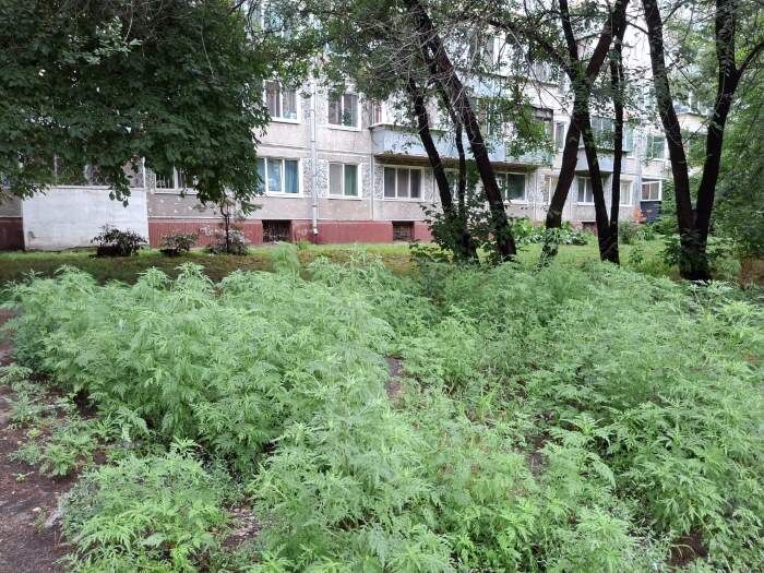    Фото: Павел Жирнов