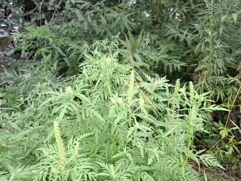    Фото: Павел Жирнов