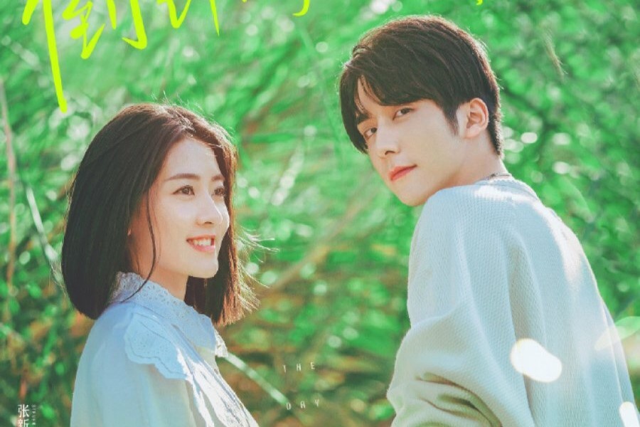 Режиссёр: Ван Чжэн. Сценарист: Ван Сюнчэн. 