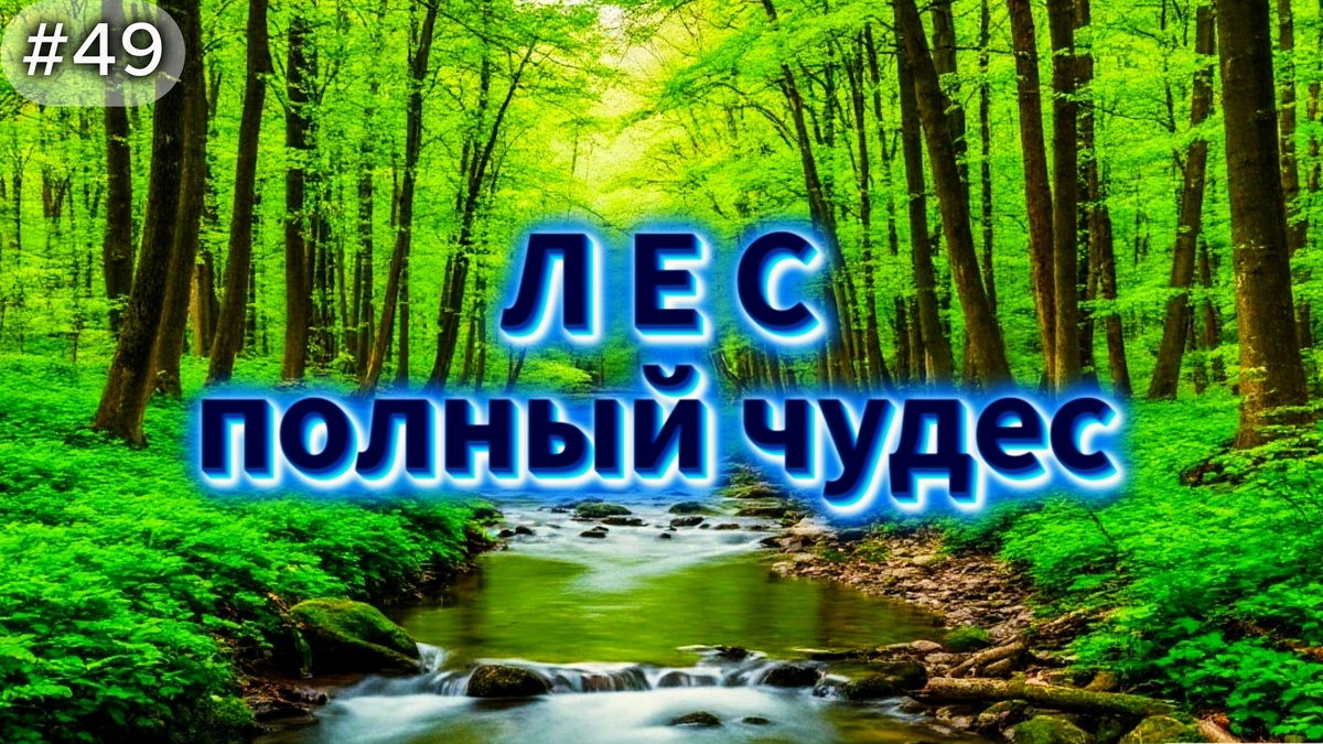 Смотрите видео сюжет в конце