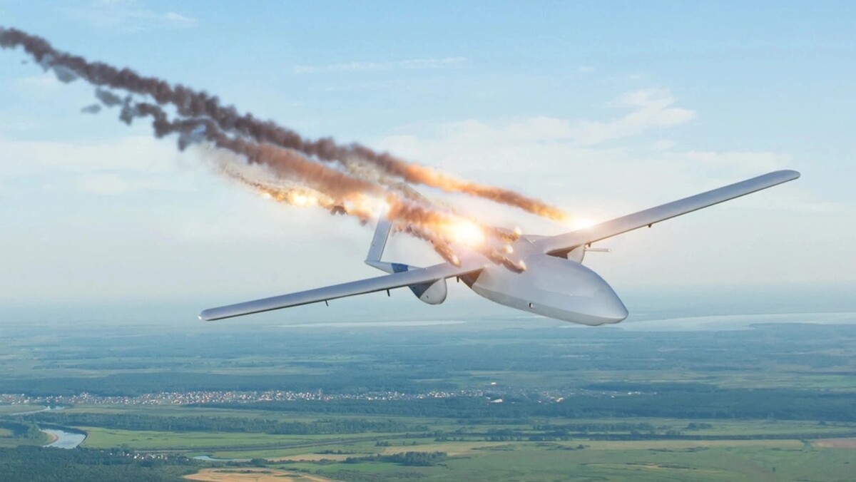    Фото: aapsky/Shutterstock/Fotodom