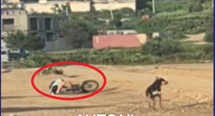    Источник фото: