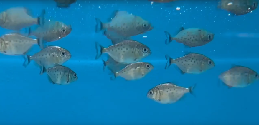    Источник фото: