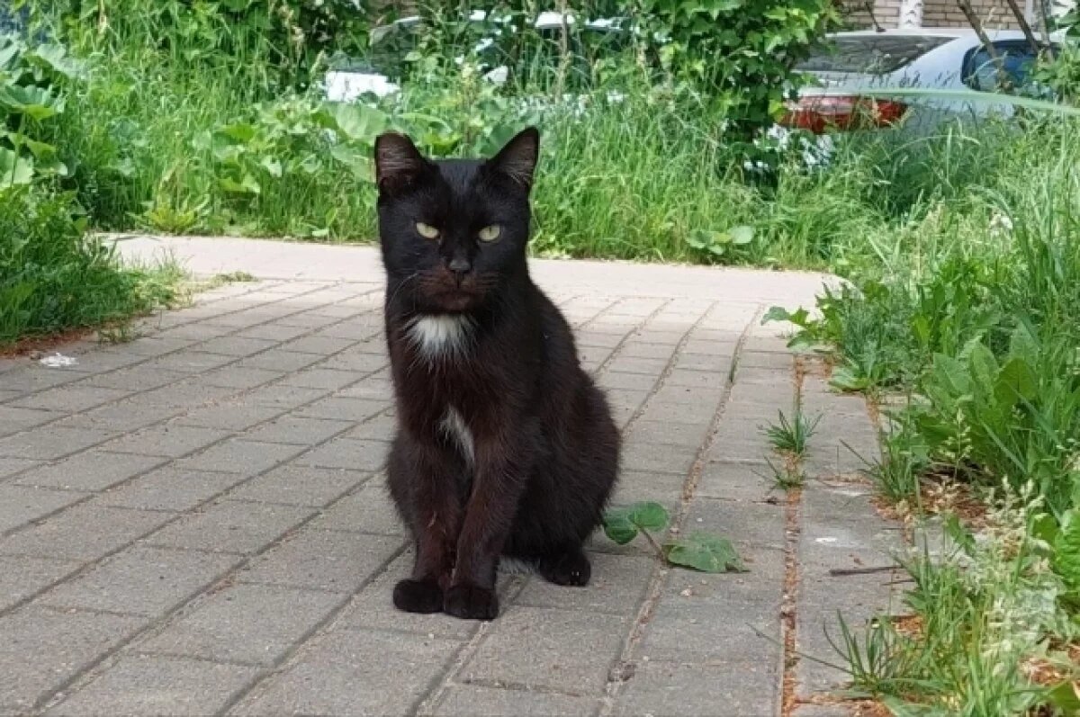    Спасая жизни.