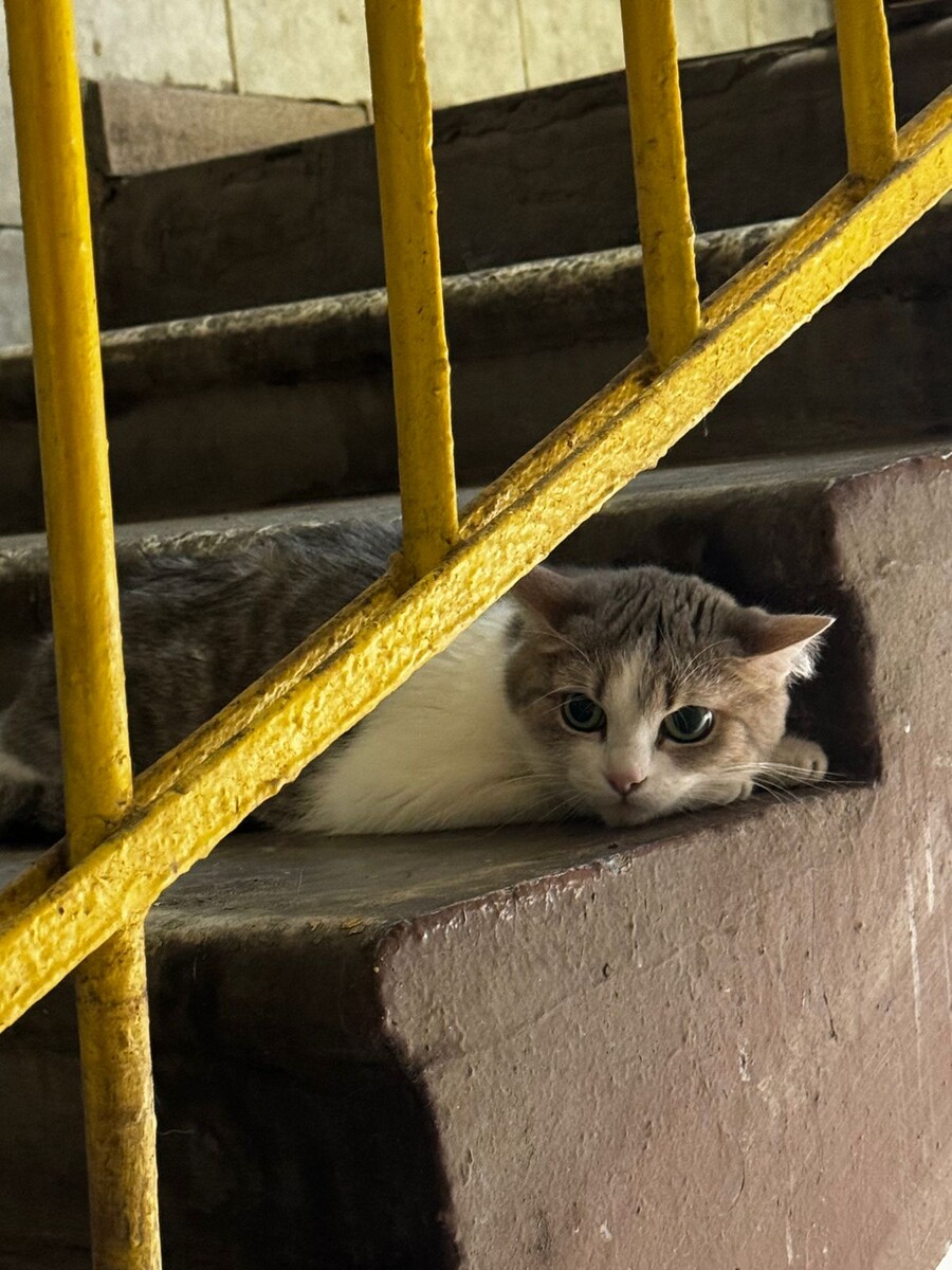 Когда не одобрили ипотеку и родители дали пинка...