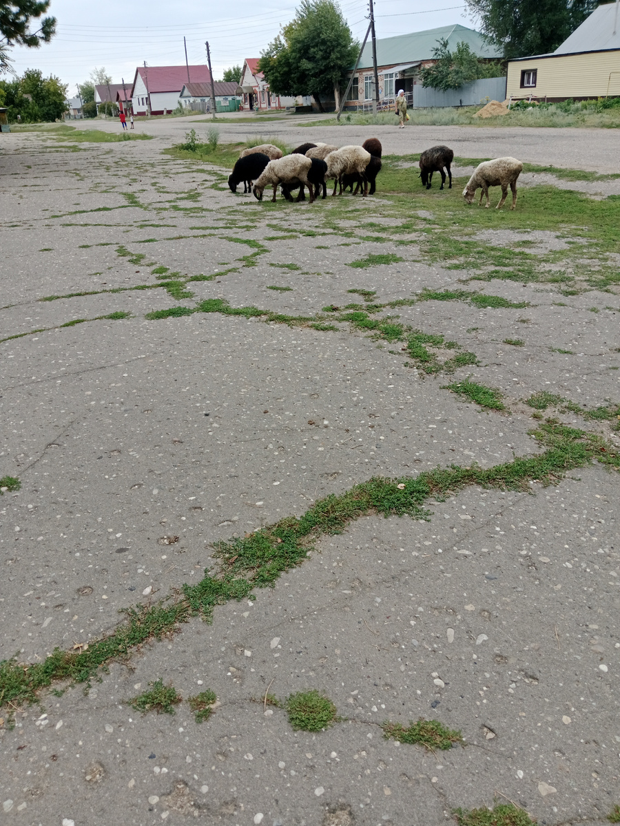 Очередь за кредитом 