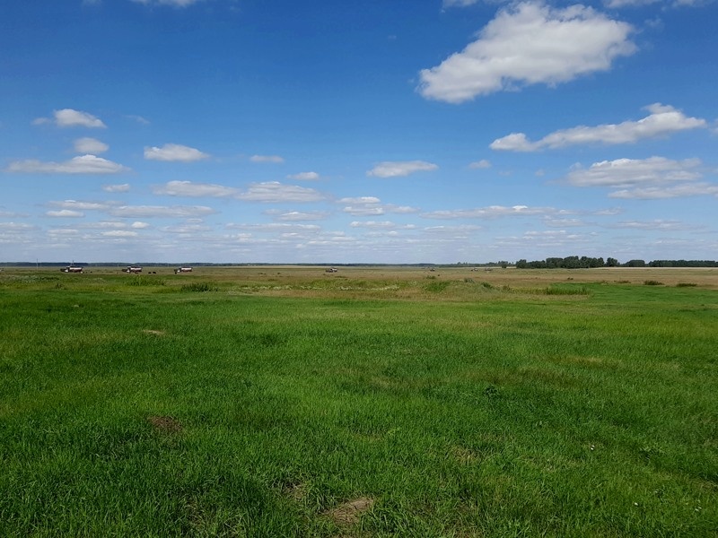 От обилия снующей туда-сюда тяжелой сельхоз техники рябит в глазах, а толку от этой движухи - ноль