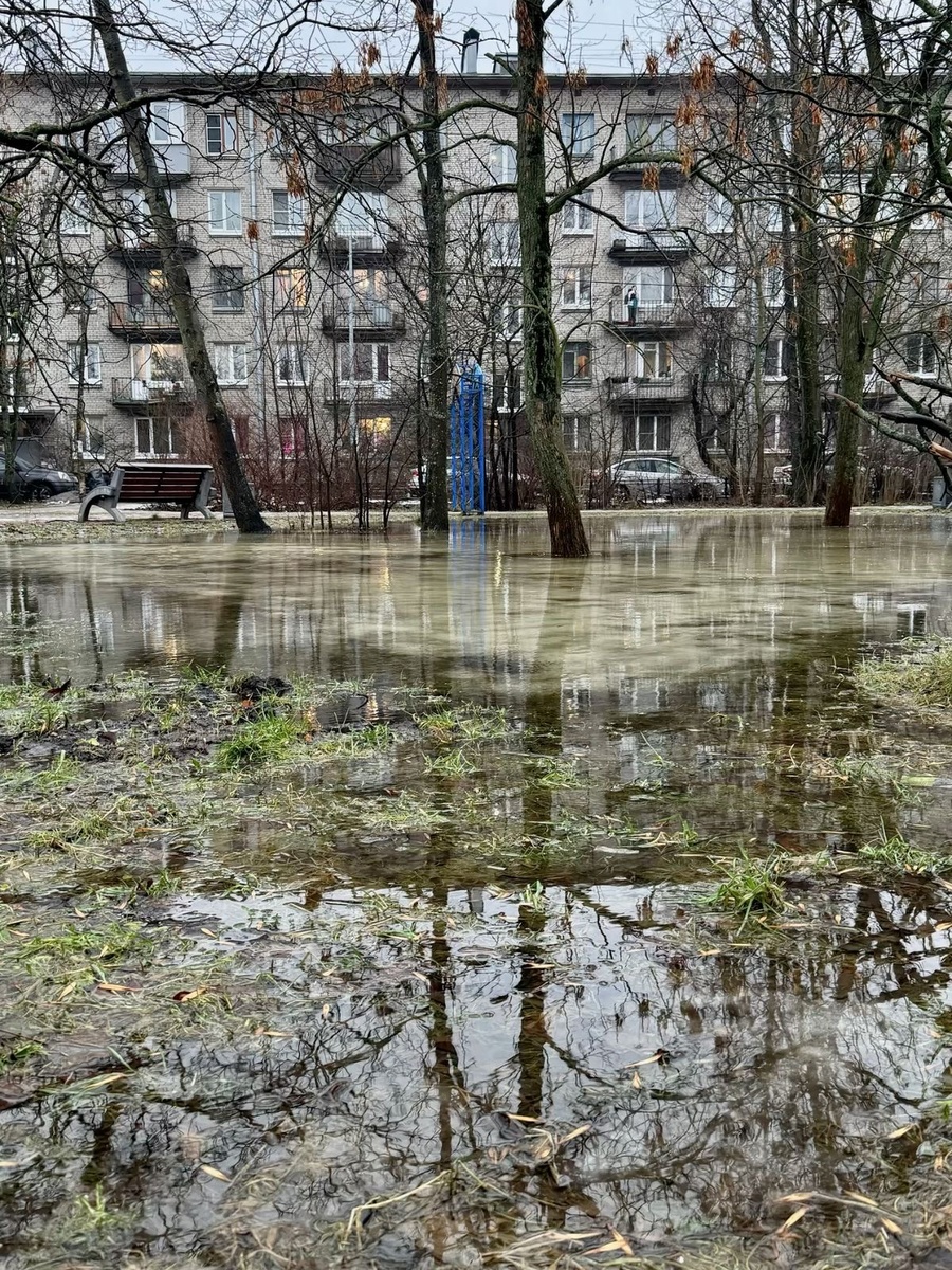 Источник: https://pin.it/1cGlfQ4J0