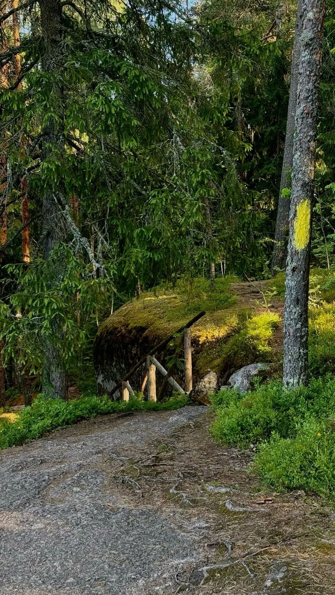 Источник: https://pin.it/3iuZ7Ut8B