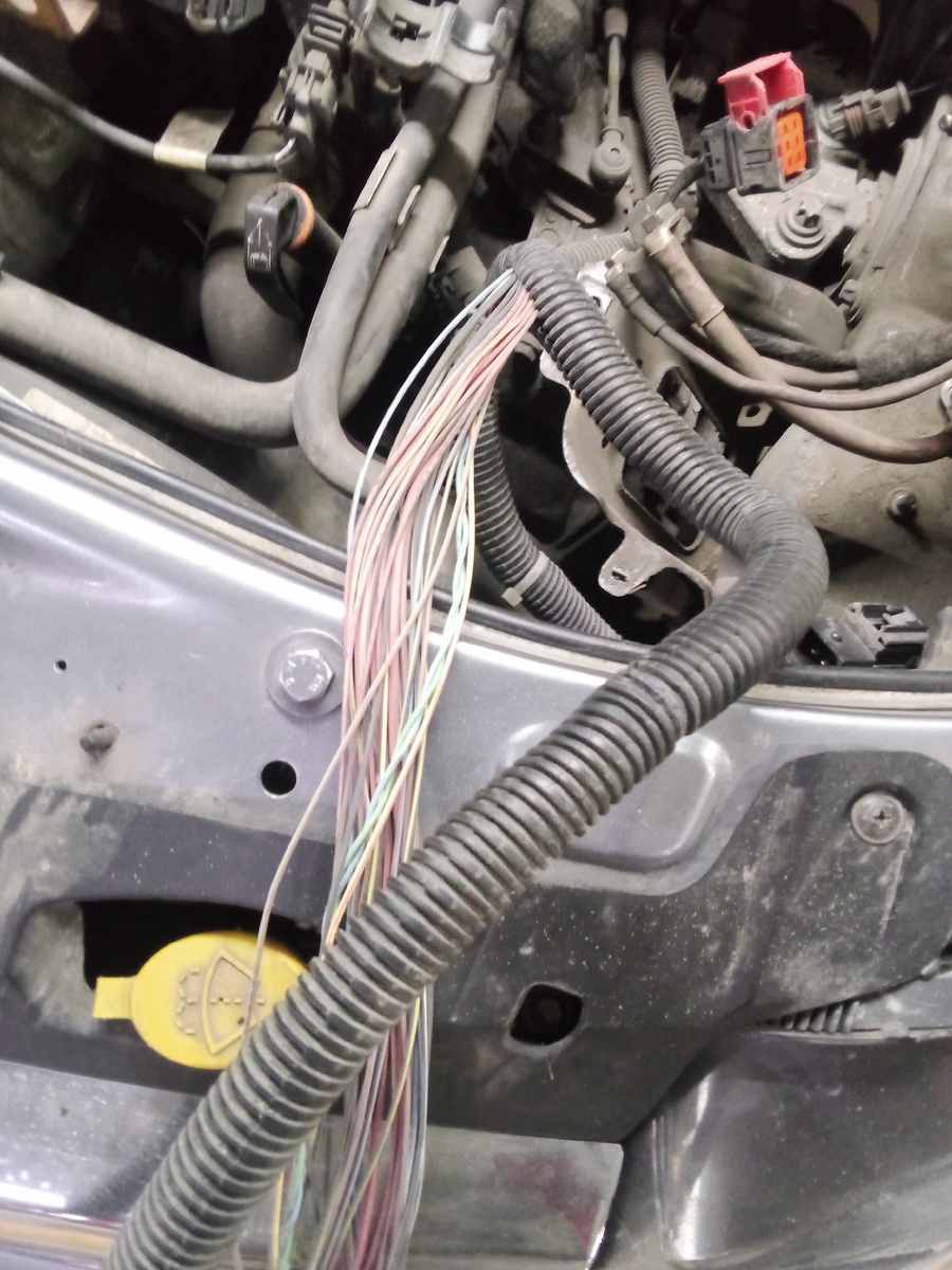 Фото из личного архива 