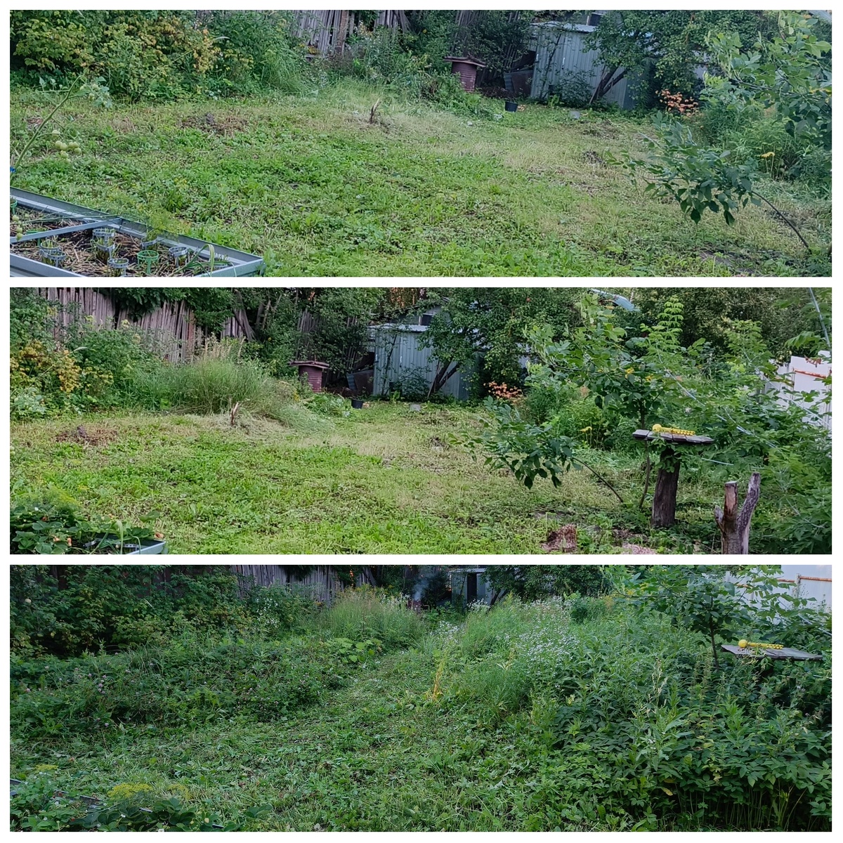 Ну почти успокоилась 🤭