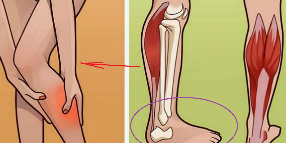 Молодые стопы - молодое тело и лицо: 5 правил, чтобы каждый день помогать своим ногам
