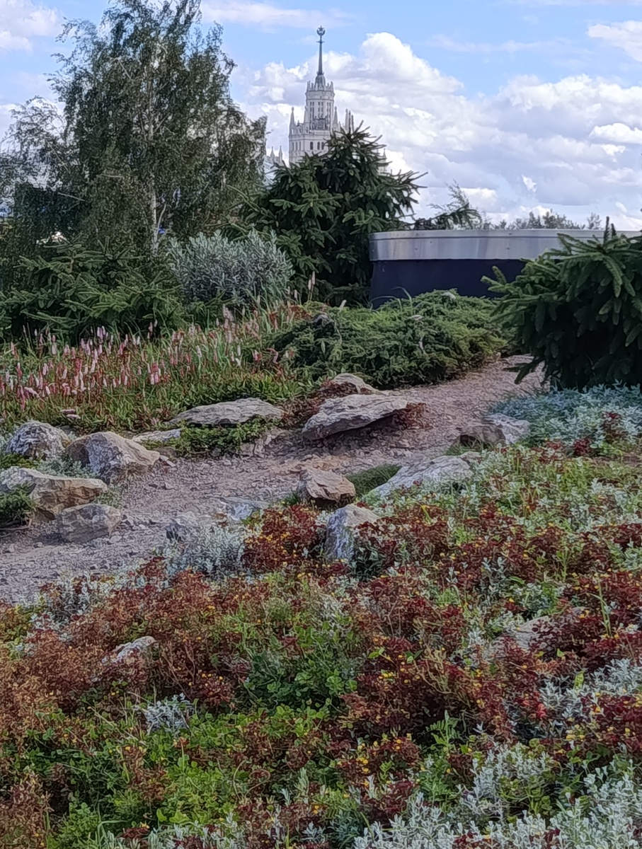 4 разных климатических зоны в уникальном парке Зарядье. Фото автора