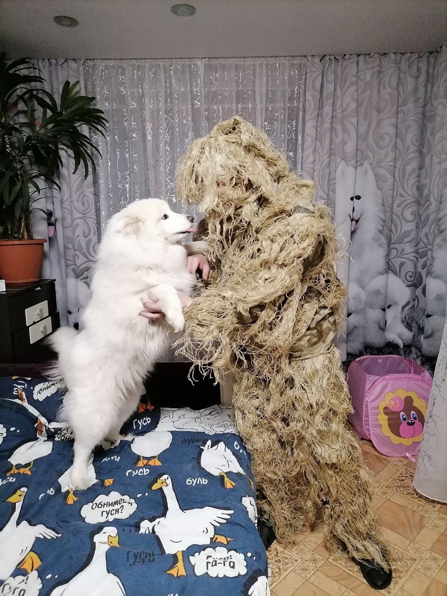 На охоту не поедет, но в подготовке участие принимает.