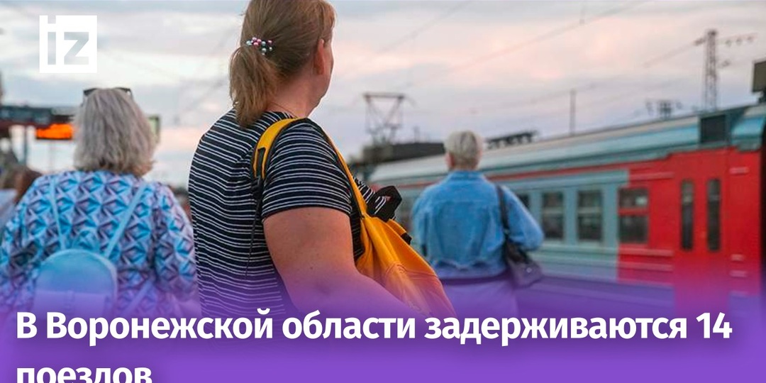 В Воронежской области задерживаются 14 поездов