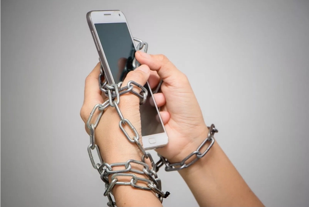 Фото из интернета