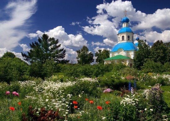 фото из открытого доступного источника сети интернет