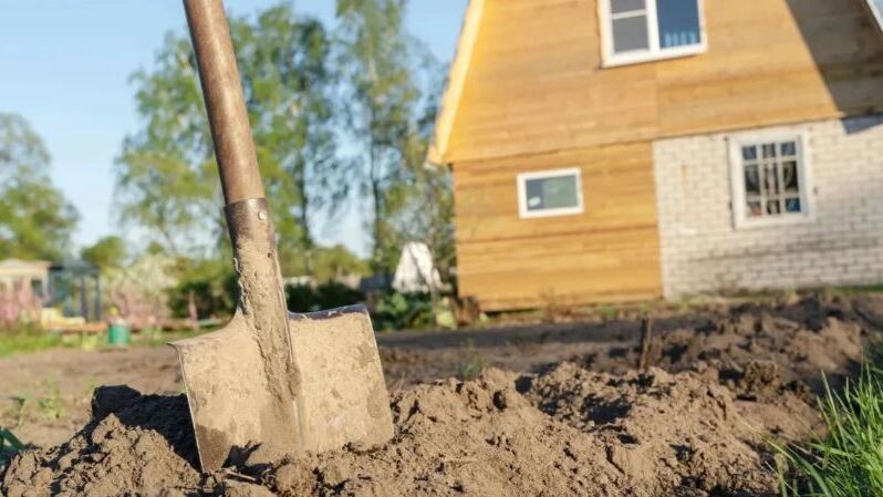    Фото: Ultraskrip/Shutterstock/Fotodom