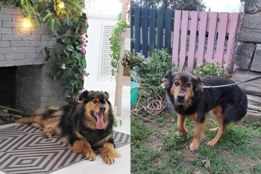    Фото: КП-Новосибирск