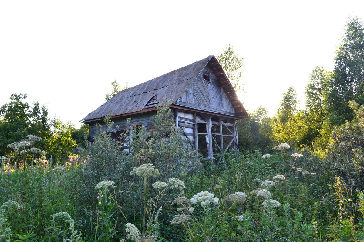    Фото: imerica.ru