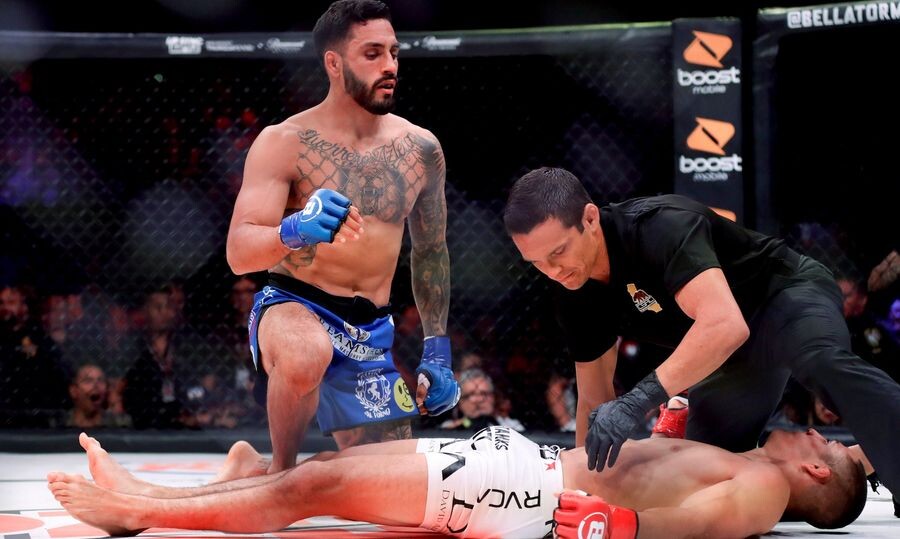 Выноси готовенького.