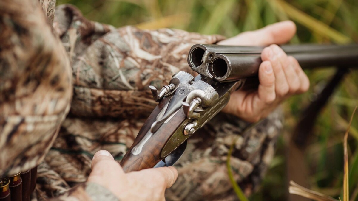    Фото: PRESSLAB/Shutterstock/Fotodom