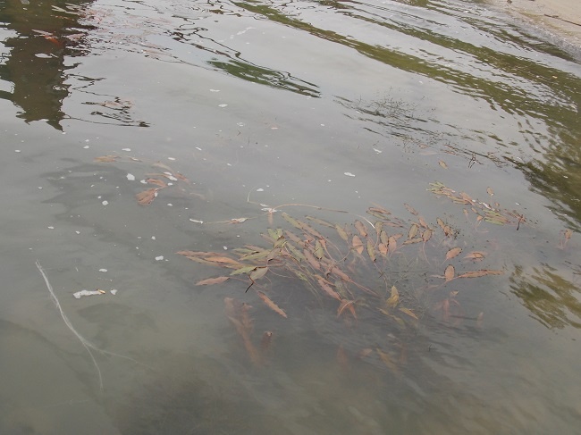    Фото из архива редакции Редактор