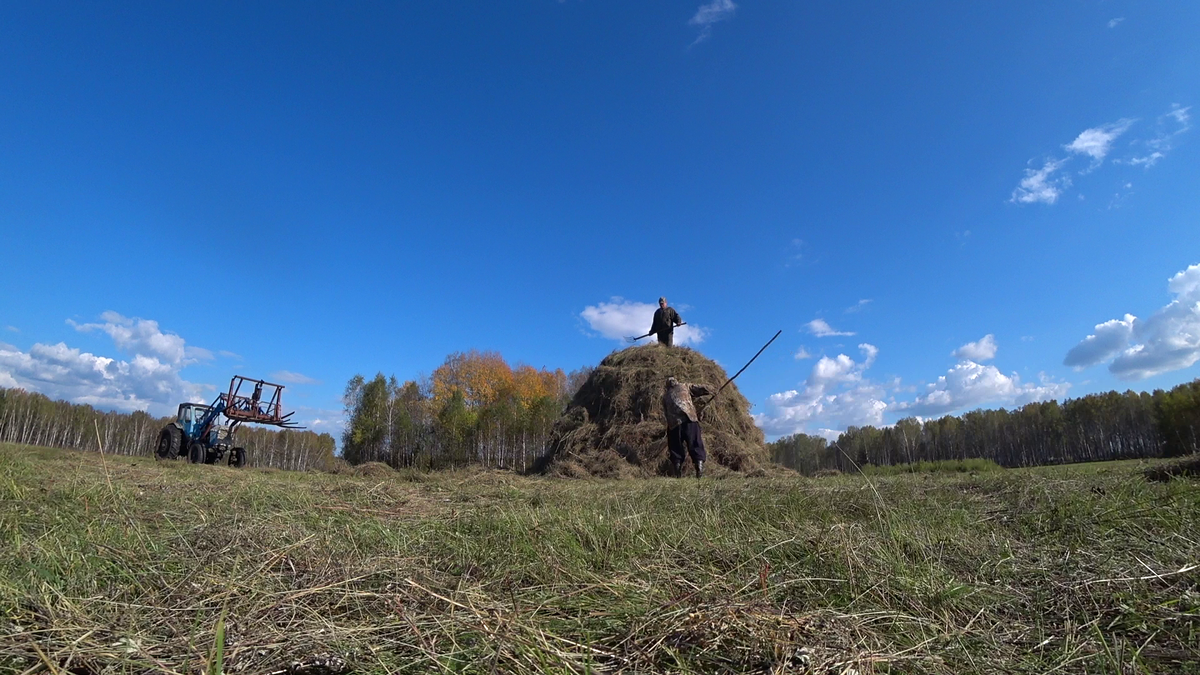 Стогование сена.