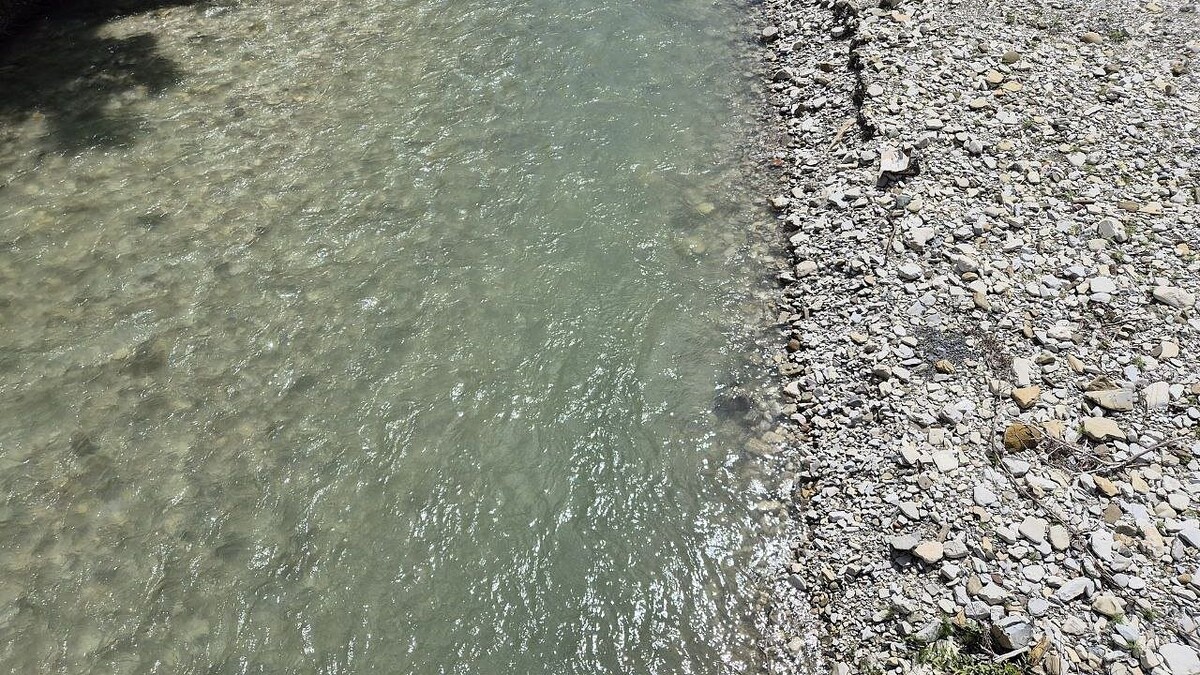    Фото: телеканал «Краснодар»