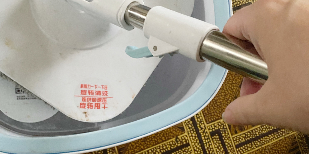 Купила себе помощницу