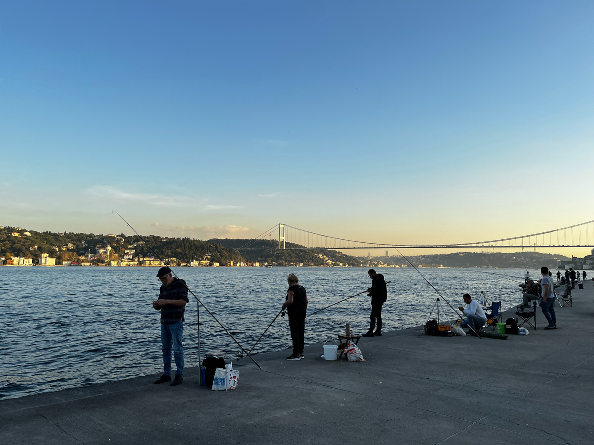 Фоточки не воруем, господа - я все вижу 😀