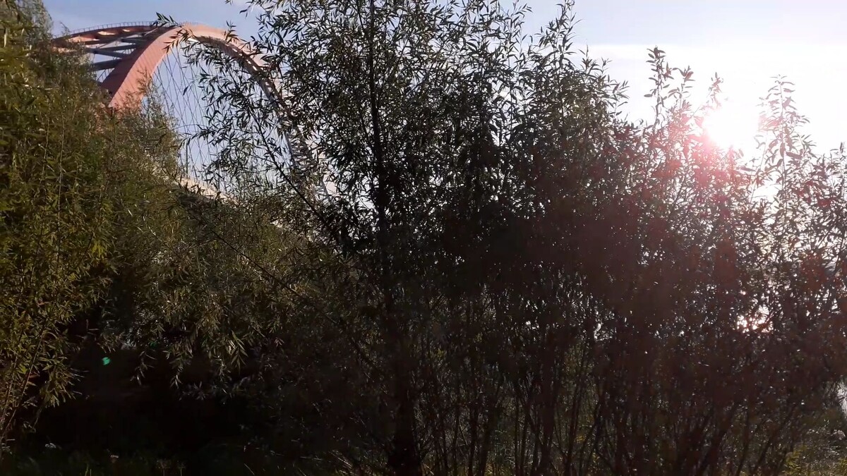 Бугринский мост