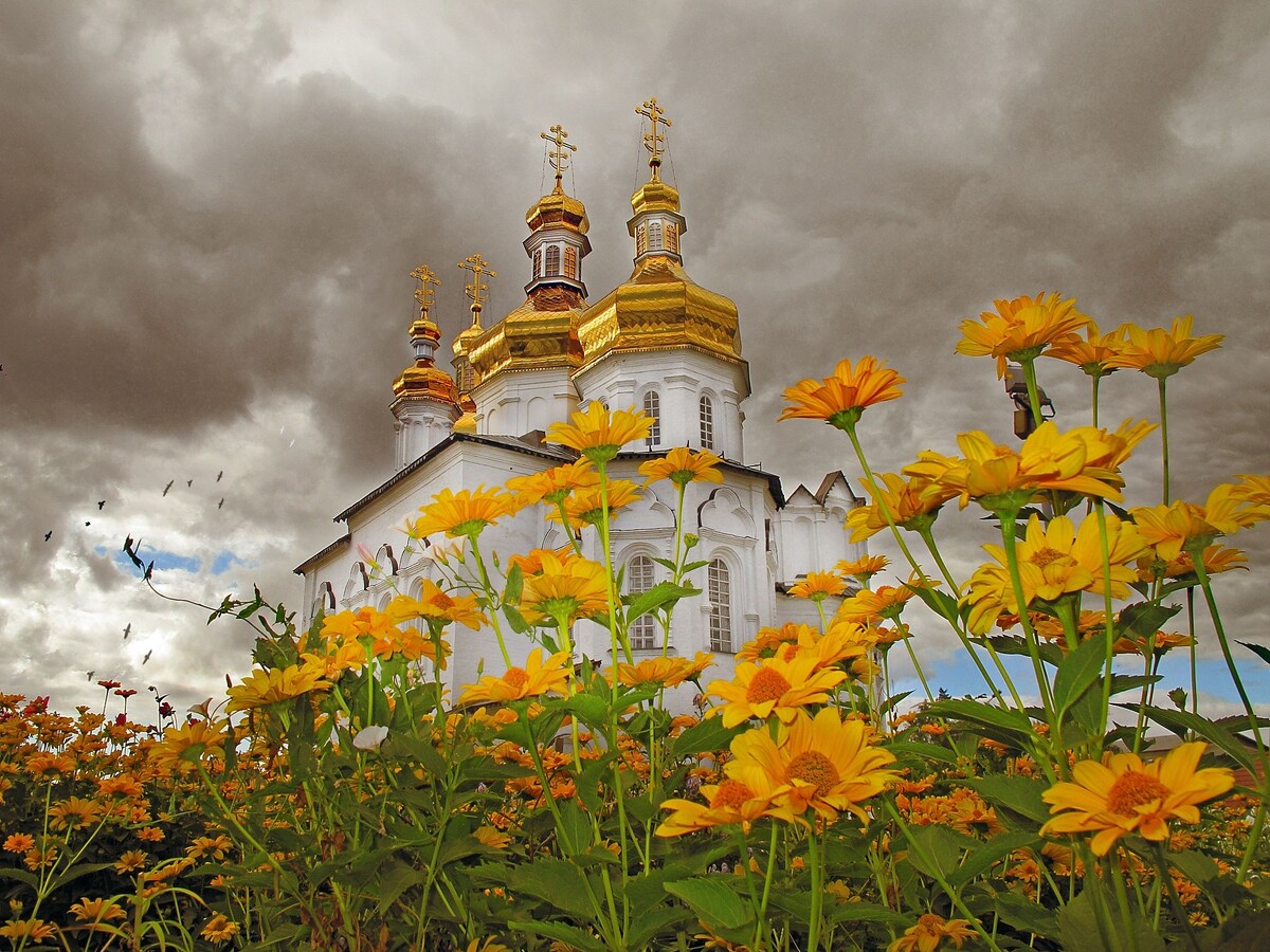 фото из открытого доступного источника сети интернет