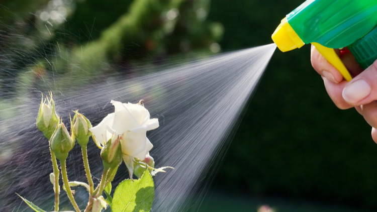 Многие дачники ждут появления симптомов и только тогда начинают действовать.