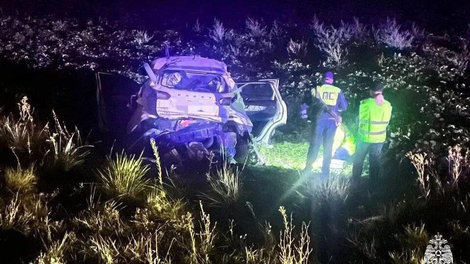    Фото:t.me/gu_mchs_tambov/10138