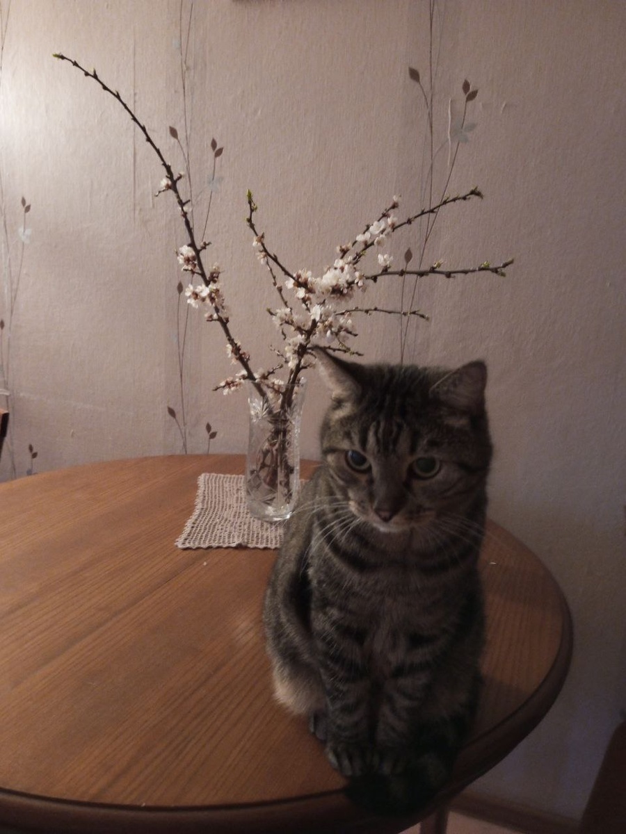 Посижу здесь, пожалуй. Сфоткай меня с цветочками