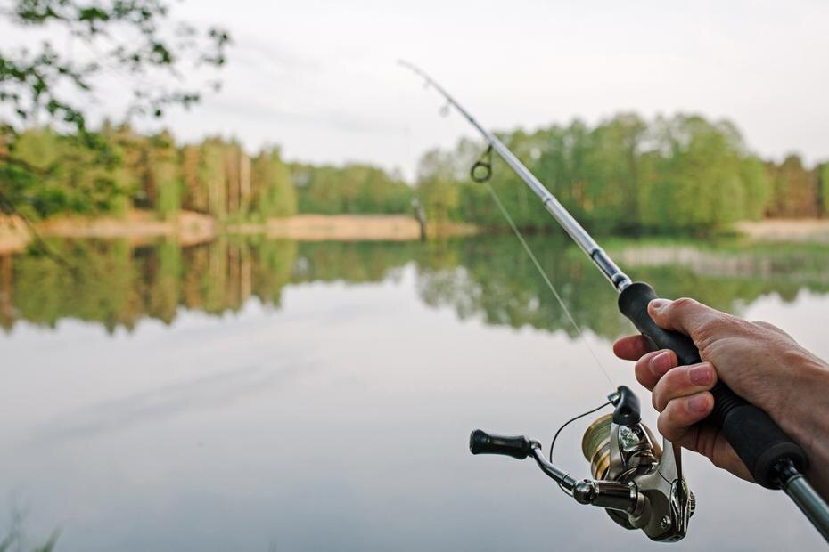    Shutterstock/FOTODOM