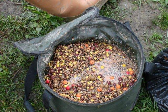 Фото с с сайта: https://sun9-79.userapi.com