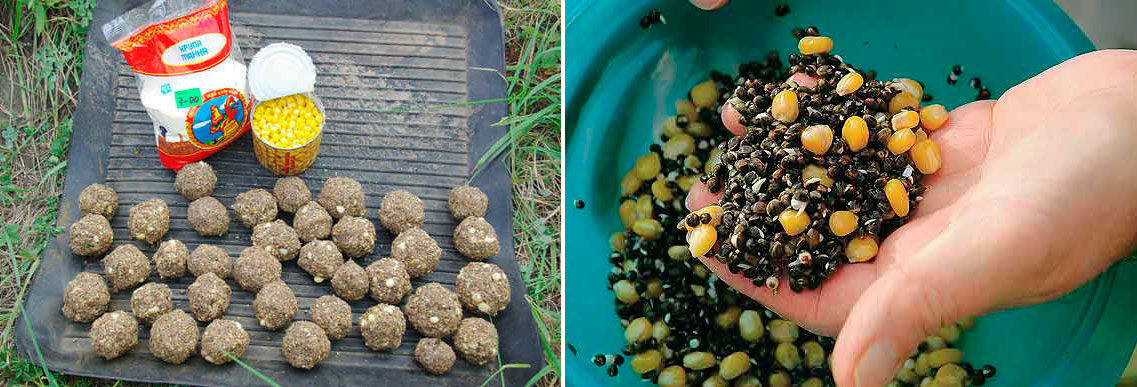 Фото с сайта: https://fishingday.org/wp-content/uploads/2016/09/5-1.jpg