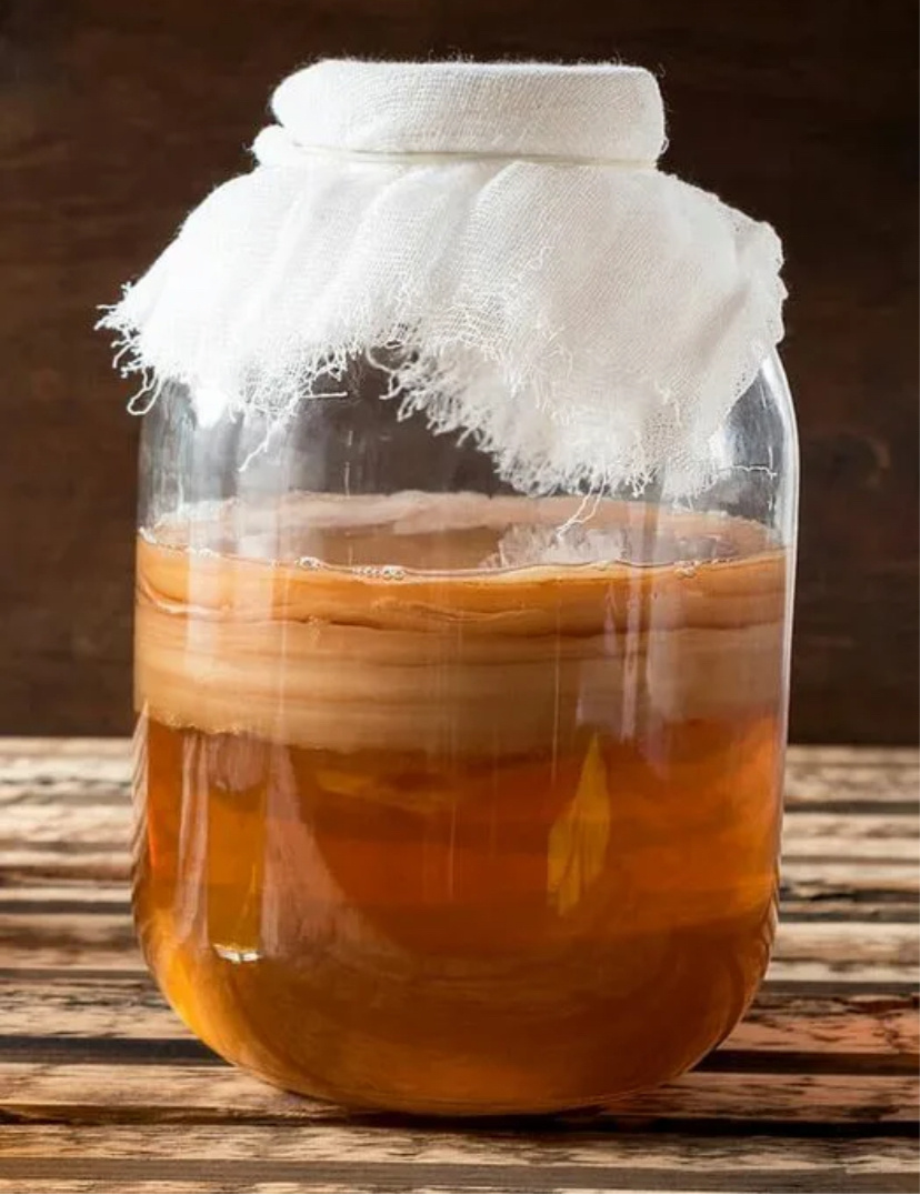 Банка с чайным грибом прикрытая марлей