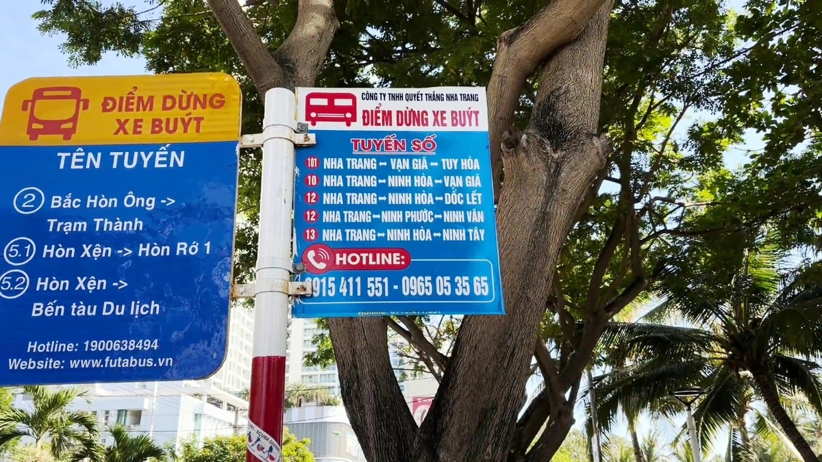 Расписание автобусов