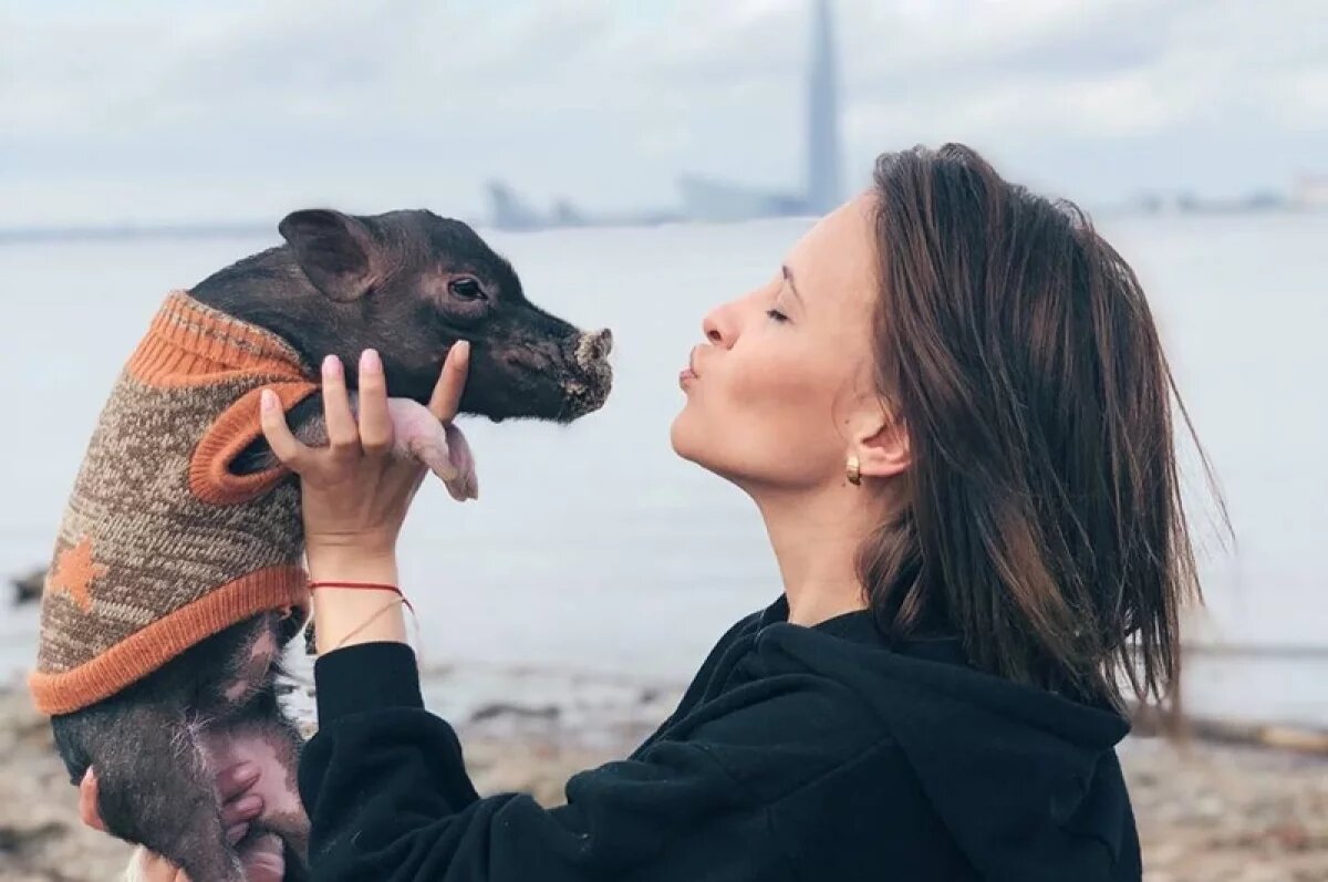    Волгоградским владельцам кошек, собак и минипигов напомнили о новых штрафах