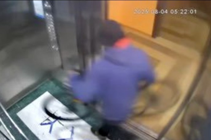    Фото: скриншот видео Новосибирск с огоньком \ Telegram