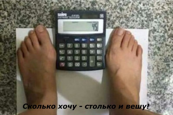 Коллаж из изображений Yandex и Pixabay