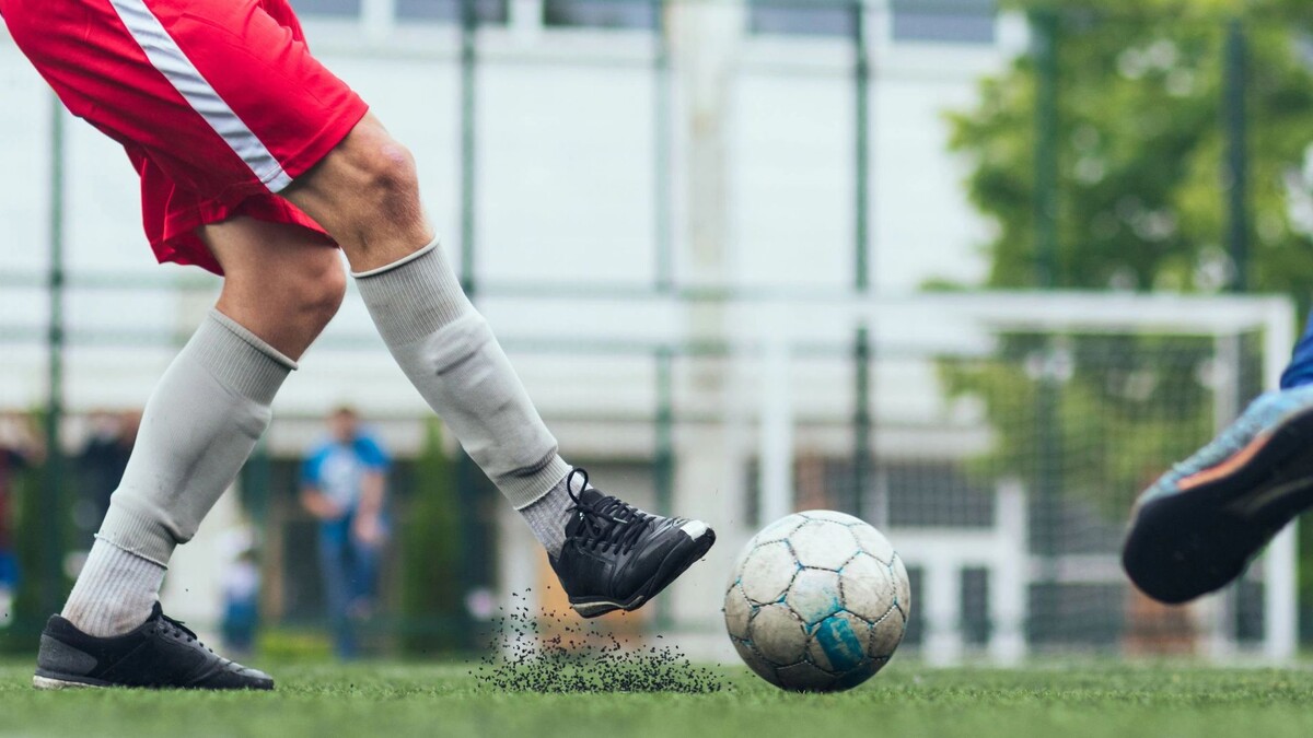    Фото: Nick Livyi / Shutterstock / Fotodom