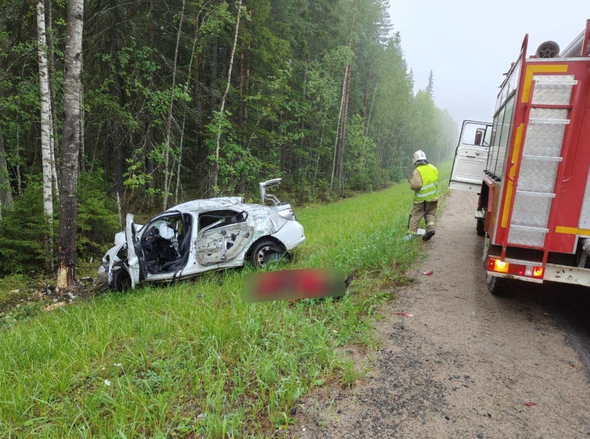    Фото: Телеграм-канал Государственного комитета Республики Карелия по обеспечению жизнедеятельности и безопасности населения