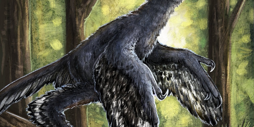 Анхиорнис (Anchiornis) – четырёхкрылая «птичка» старше археоптерикса.