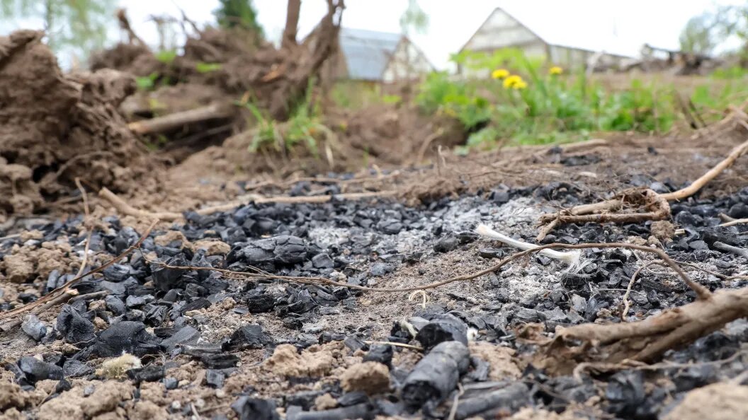    Елена Майорова/Global Look Press